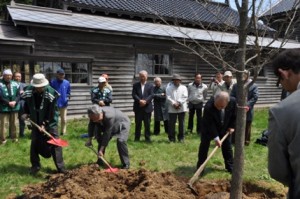 大きく育てと、ハルニレを植樹する横山会長（右）ら