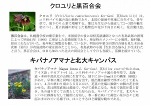 開拓の村寮舎前「花壇説明板（クロユリ、キバナノアマナ）」