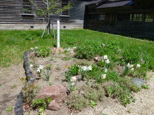 中庭の花壇